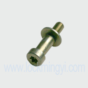 Striker bolt assembly_824-21